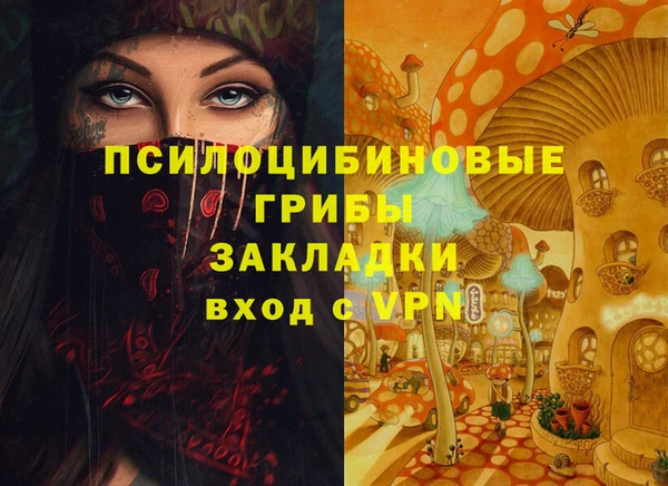 амф Новозыбков